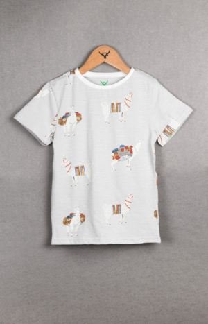Boys Round neck Half Sleeve AOP Cotton T-shirt